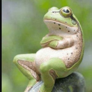 Meet your Posher, Jane